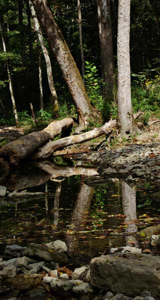 Reflecting Pool