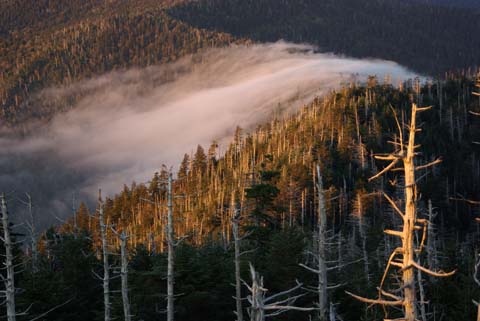 Smokey Mountain Clouds